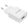 everActive SC-100 1A wall charger adapter