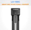 LiitoKala lii-100C charger